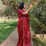 Maroon Organza Saree with Intricate Zardozi Embroidery