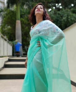 Mint Ombre Chiffon Saree with Badla work