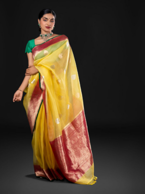 Yellow Organza Saree Trending in 2025