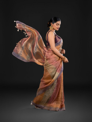 zari tissue silk saree for Diwali 2024-2025