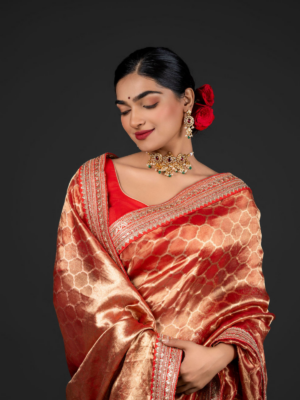 Red tissue silk saree for Diwali 2024-2025