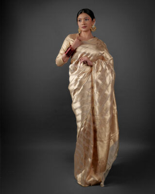 ivory tissue silk saree for diwali 2024-2025