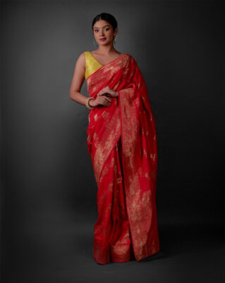 Red Saree for Diwali 2024-2025