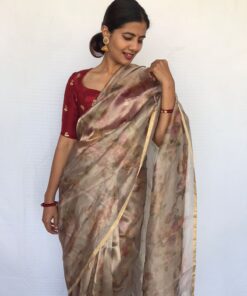 Grey Tissue Organza Saree