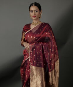 tissue silk saree by Mirra Clothing