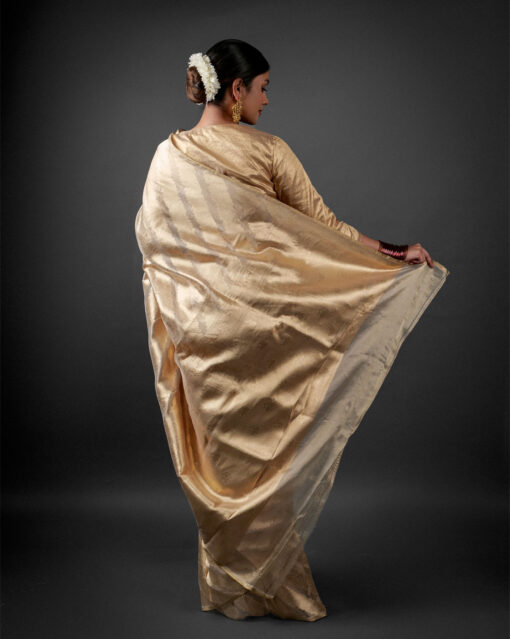 Elegant Pallu by gold weaves by Mirra Clothing