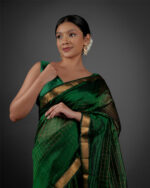 Beautiful Saree by Mirra Clothing