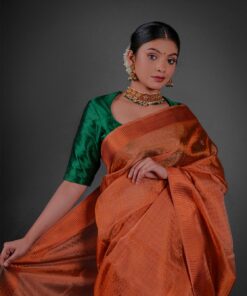 Close up view of a model showcasing Copper Tissue Silk Saree with Self Design Border, Suitable for occasions By Mirra Clothing