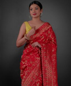 Front view of a model showcasing a Peachy Red Banarasi Silk Saree Highlighted with Embroidery, Suitable for traditional performances or fairs By Mirra Clothing