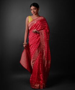 Front view of a model showcasing a Rani Pink Banarasi Georgette Saree With Gold Zari weaves , Elegant attire for religious rituals and ceremonies By Mirra Clothing