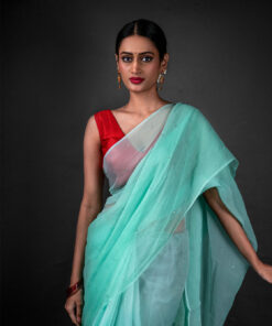 Close up view of a model showcasing Mint Blue Chiffon Saree With Badla Work, Perfect for everyday wear by Mirra Clothing