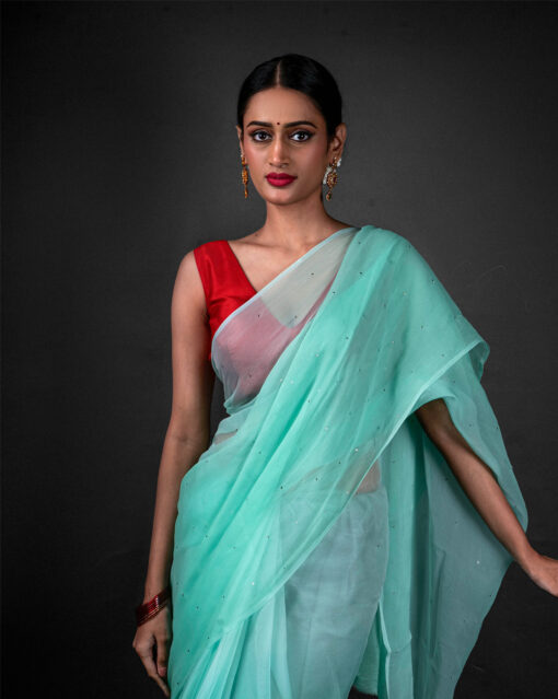 Close up view of a model showcasing Mint Blue Chiffon Saree With Badla Work, Perfect for everyday wear by Mirra Clothing