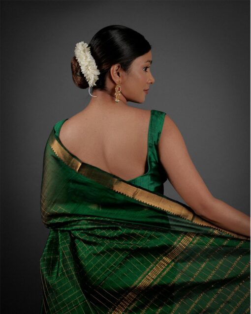 Elegant Pallu by gold weaves by Mirra Clothing