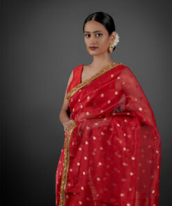 Beautiful Saree by Mirra Clothing