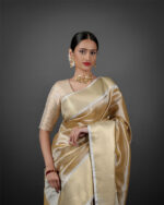 Beautiful Saree by Mirra Clothing