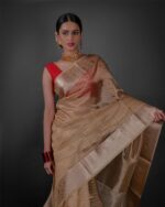 Close up view of a model showcasing Ivory Tissue Silk Saree with Gold Zari Stripes, Perfect for family reunions or celebrations by Mirra Clothing