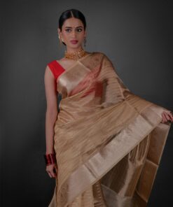 Close up view of a model showcasing Ivory Tissue Silk Saree with Gold Zari Stripes, Perfect for family reunions or celebrations by Mirra Clothing