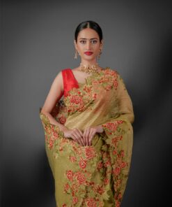 tissue silk saree by Mirra Clothing