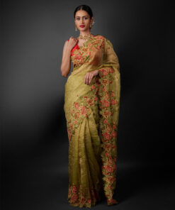 Beautiful Saree by Mirra Clothing