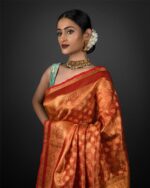 tissue silk saree by Mirra Clothing